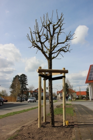 2015_04_heimathaus_13.jpg