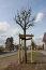 2015_04_heimathaus_13.jpg