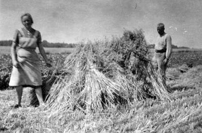Kornernte, Heinrich Holtkamp und Erna um 1948