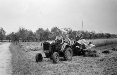 Haferernte mit dem Trecker von Niedermowwe um 1948