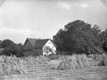 Hof Schnatbaum im Sommer Hof Schnatbaum im Sommer