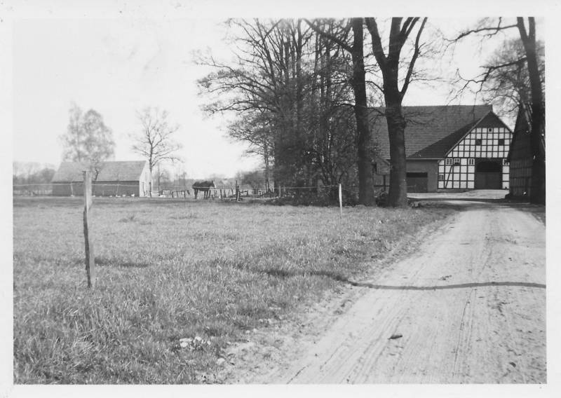 Das Haus Strothmann um 1954 herum