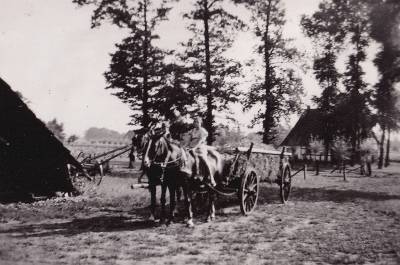 Heuwagen mit Pferden und Kindern