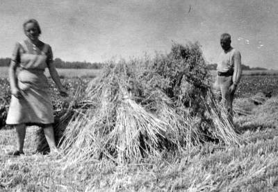Kornernte, Heinrich Holtkamp und Erna um 1948 Kornernte, Heinrich Holtkamp und Erna um 1948